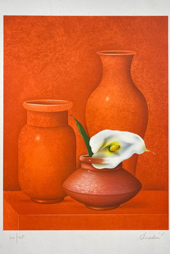 Marcello monardini - 🎨,